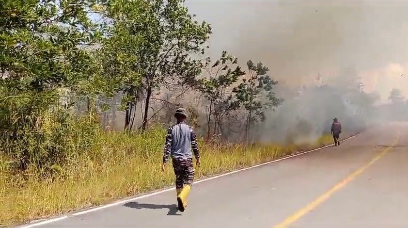 Kebakaran hutan dan lahan